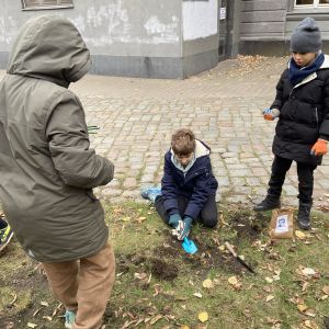 images/Grundstufe/Veranstaltungen/Schulgarten/Aktion 2024/Pflanzaktion 6.jpg